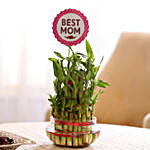 3 Layer Lucky Bamboo Plant With Best Mom Tag