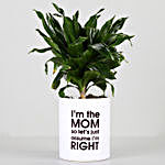 Dracaena Plant In Printed White Pot For Mom