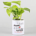 Money Plant In Printed Pot For Mom