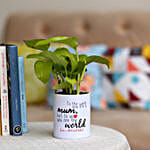 Money Plant In Printed Pot For Mom