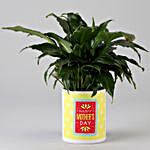 Peace Lily In Happy Mothers Day Pot