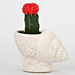 Pink Moon Cactus In Shell Shaped Ceramic Pot
