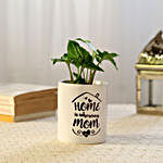Syngonium Plant In Ceramic Pot For Mom
