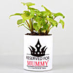 Xanadu Plant In Personalised Pot For Mummy