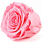 Baby Pink Forever Rose in Velvet Box
