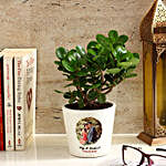 Ficus Dwarf Plant in White Personalised Ceramic Pot