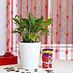 Peace Lily Plant in Ceramic Pot with Cadbury Dairy Milk