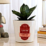 Snakeskin Sansevieria Plant In Love Ceramic Pot