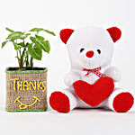 Syngonium Plant In Glass Vase With Teddy Bear