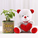 Syngonium Plant In Glass Vase With Teddy Bear