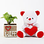 Syngonium Plant in Love Wife Vase With Teddy Bear