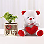 Syngonium Plant in Love Wife Vase With Teddy Bear