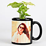 Syngonium Plant In Personalised Mug Black
