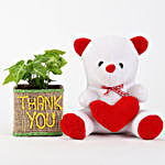 Syngonium Plant In Thank You Vase With Teddy Bear