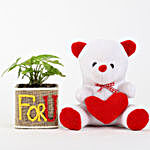 Syngonium Plant & Teddy Bear Combo