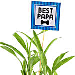 2 Layer Bamboo Plant For Papa