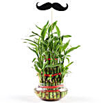 3 Layer Bamboo Plant With Moustache