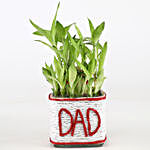 2 Layer Lucky Bamboo Plant For Dad