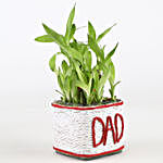 2 Layer Lucky Bamboo Plant For Dad