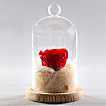 Classic- Forever Red Rose In Glass Dome
