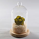 Forever Olive Green Rose In Glass Dome