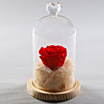 Timeless- Forever Red Rose In Glass Dome
