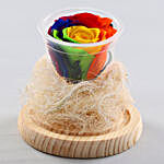 Forever Mystic Rainbow Rose In Glass Dome