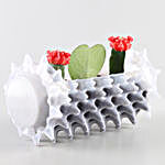 Succulents Combo In White Foldable Planter