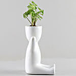 Syngonium Plant In White Figurine