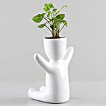 Syngonium Plant In White Figurine