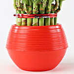3 Layer Bamboo With Red & White Rakhi