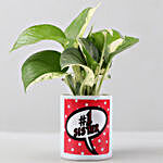 Money Plant In Ceramic Pot For Sis