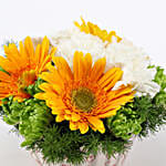 Carnations & Gerberas Cupcake Pot