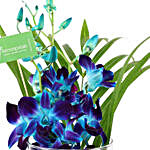 Hearty Orchid Vase Arrangement