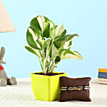 Marble Queen Money Plant & Friendship Band