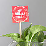Money Plant Terrarium With Rakhi & Lumba Set