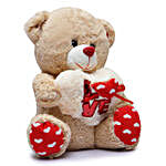 Appealing Love Teddy Bear