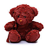Furry Teddy Bear