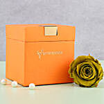 Olive Green Forever Rose in Orange Box
