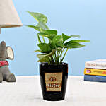 Money Plant In Number One Sister 3D Pot