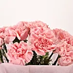 Pretty Pink Carnations Flower Bouquet