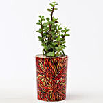 Jade Plant In Printed Red Ceramic Pot