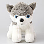 Grey Husky Dog Soft Toy