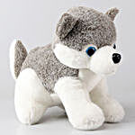Grey Husky Dog Soft Toy