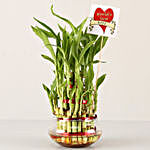 3 Layer Bamboo Plant For Best Wife