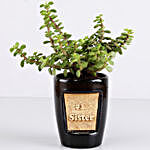 Jade Plant For Number 1 Sister