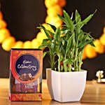 2 Layer Lucky Bamboo & Cadbury Celebrations