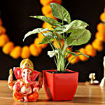 Syngonium Plant & Ganesha Idol