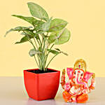 Syngonium Plant & Ganesha Idol