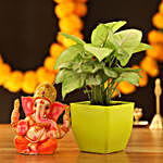 Syngonium Plant & Lord Ganesha Idol
